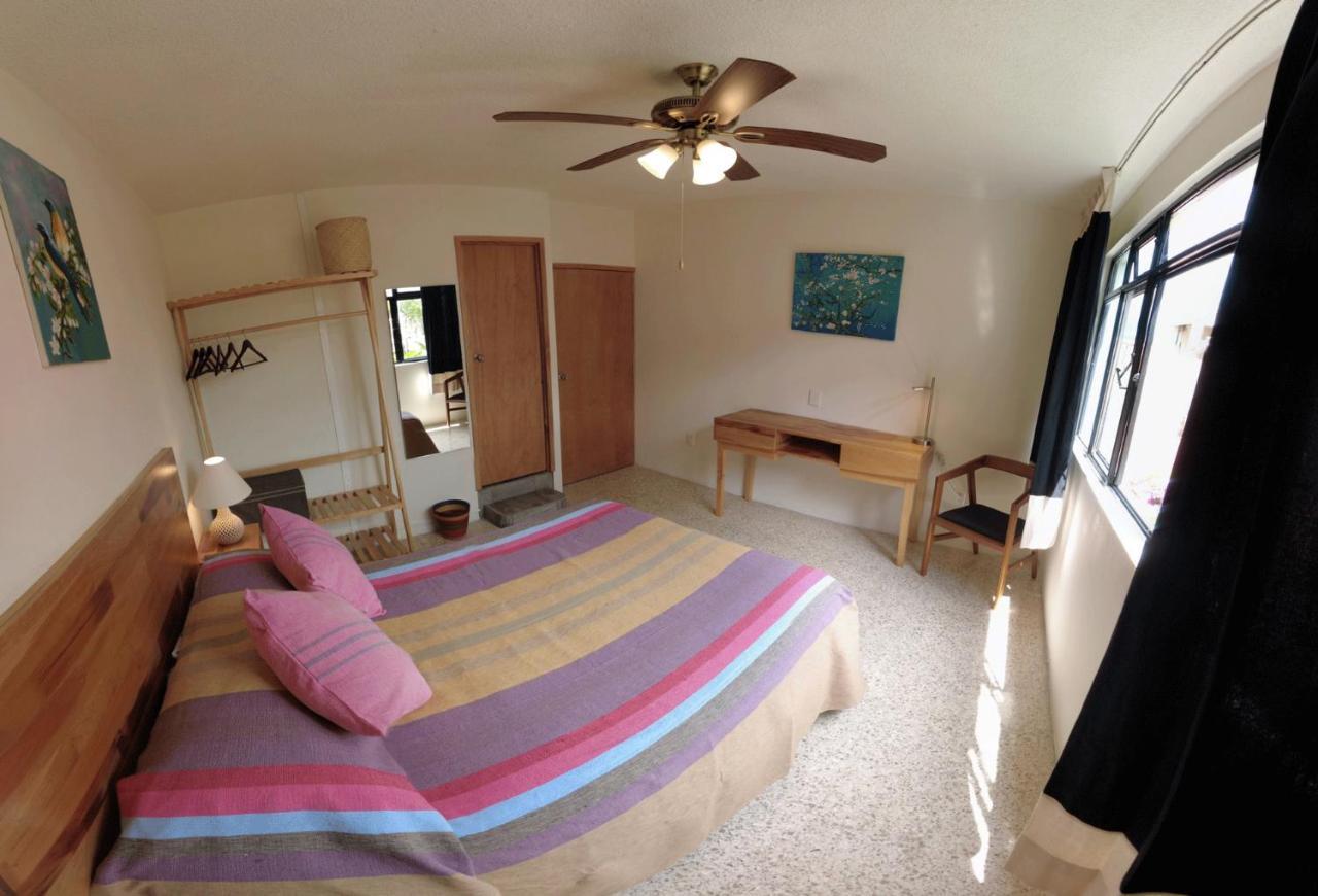 Casa De Las Palmas Guest House Oaxaca ภายนอก รูปภาพ