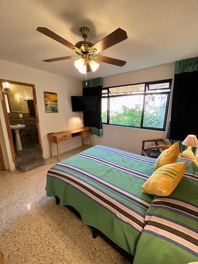 Casa De Las Palmas Guest House Oaxaca ภายนอก รูปภาพ