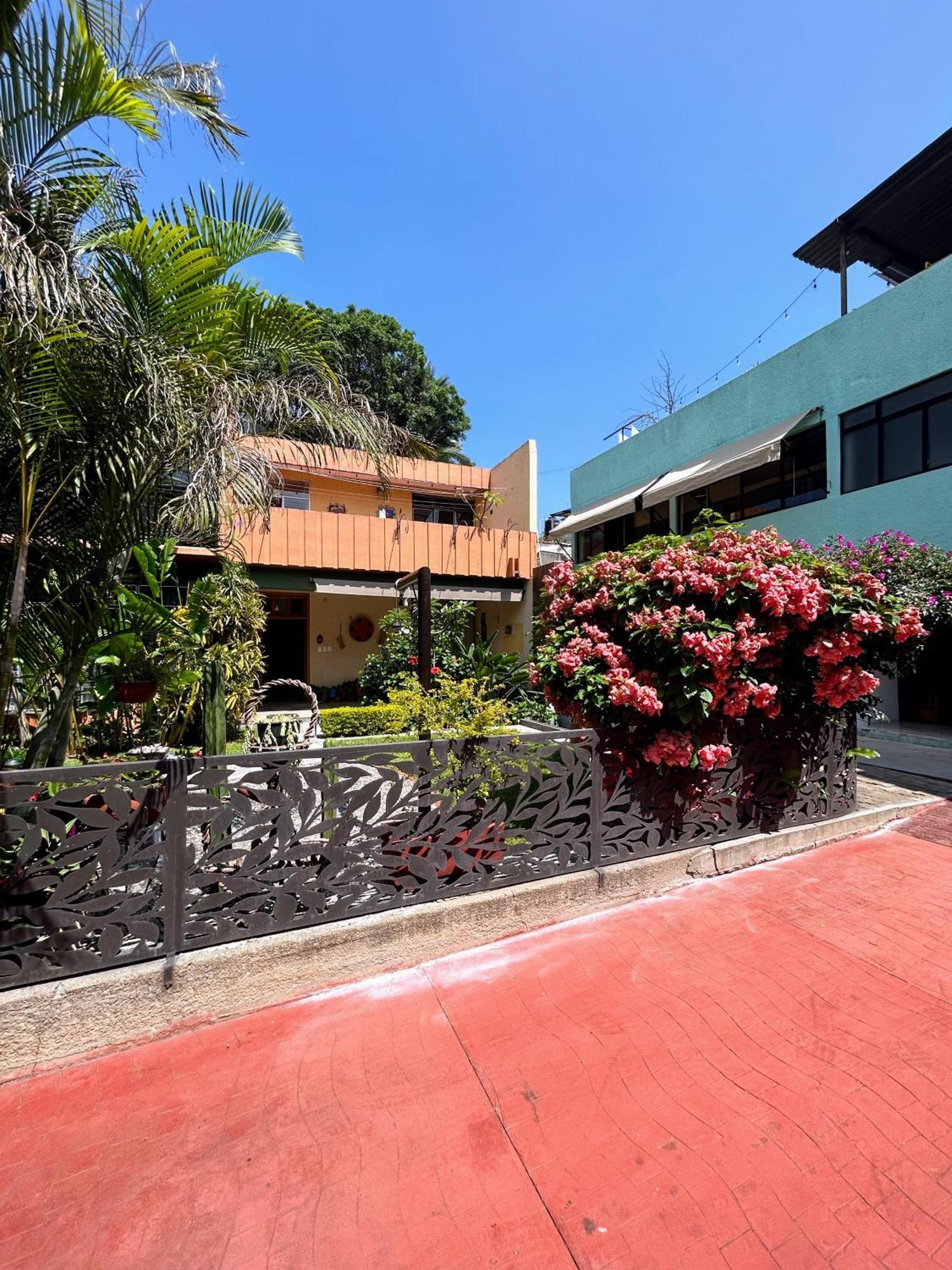 Casa De Las Palmas Guest House Oaxaca ภายนอก รูปภาพ