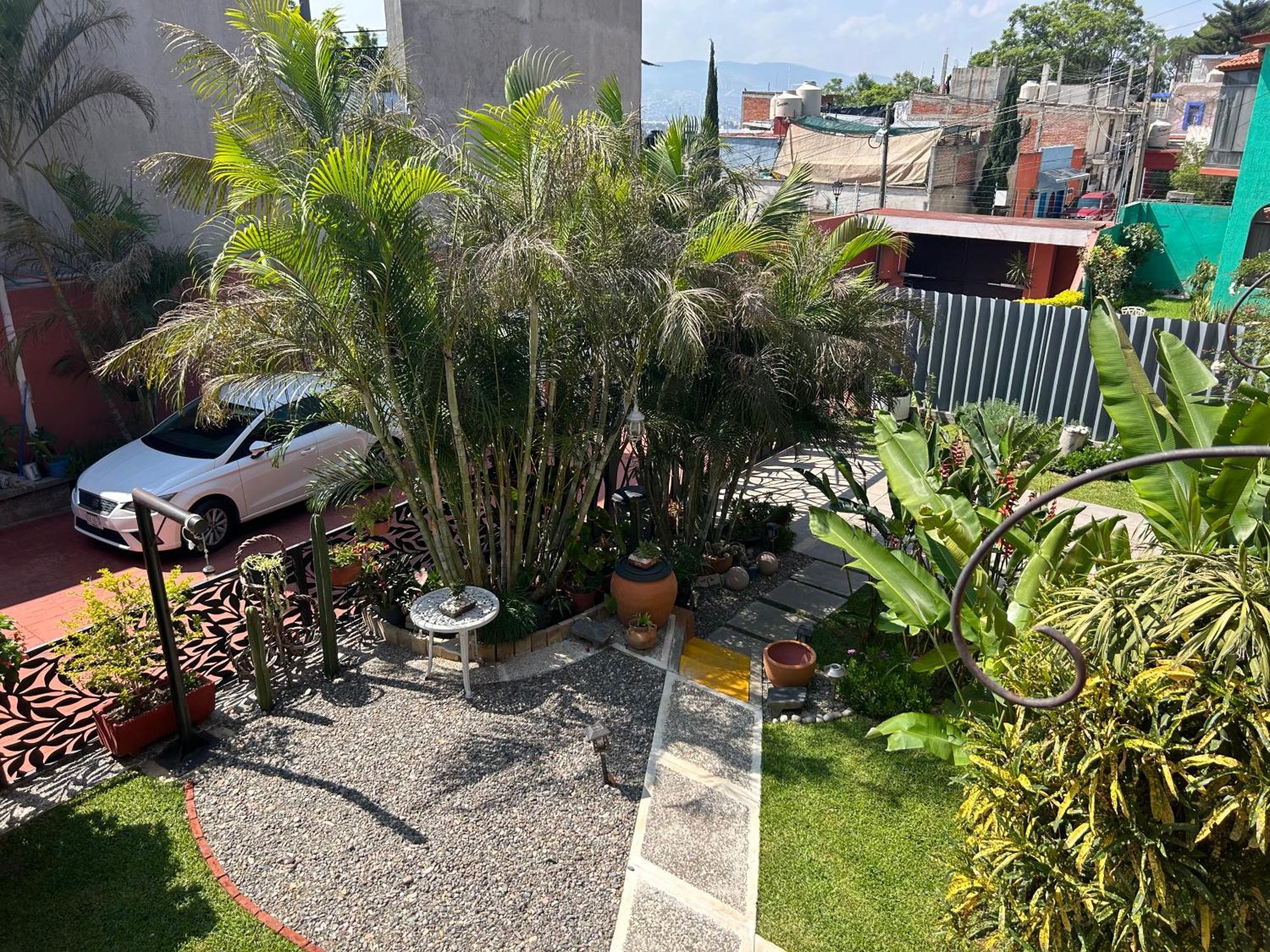 Casa De Las Palmas Guest House Oaxaca ภายนอก รูปภาพ
